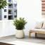 Pot à fleurs Sahara, ciment rond 12 po beige désert-1364128101