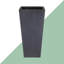 Plant Pot-788838802-795294483