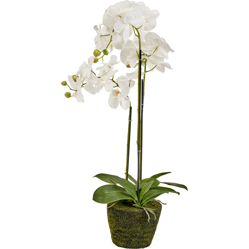 80cm Faux Plant in Cement Pot Liner