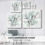 Toile tendue Frost Lichen IV-Gallery-871095748