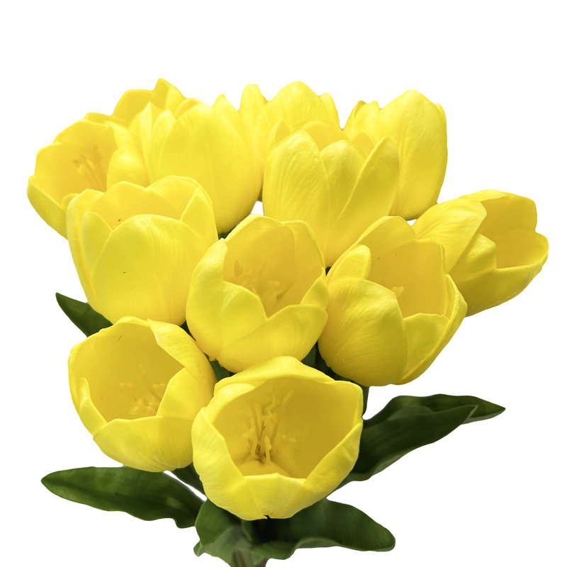 Tiges de tulipes, Jaune