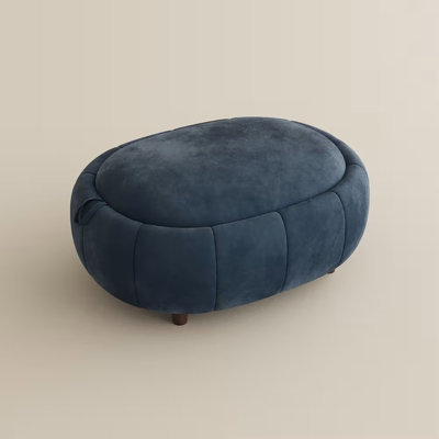 Upholstered Velvet Storage Standard