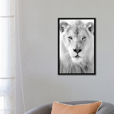 « roi », photographie sur toile