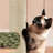 Multiple Level Cat Tree with Scratching Posts-888724541