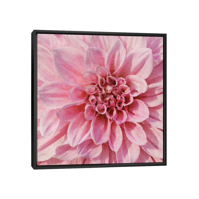 " Wall Flower VII " by Alonzo Saunders, 18" H x 18" W x 1.5" D, Black Framed Canvas, No Mat