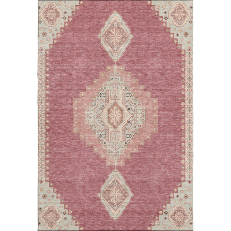 Premium Machine Washable Colmenero AMF1014 Oriental Rug