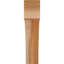 Attelle de genou Westlake-29310046-31230080-31230610