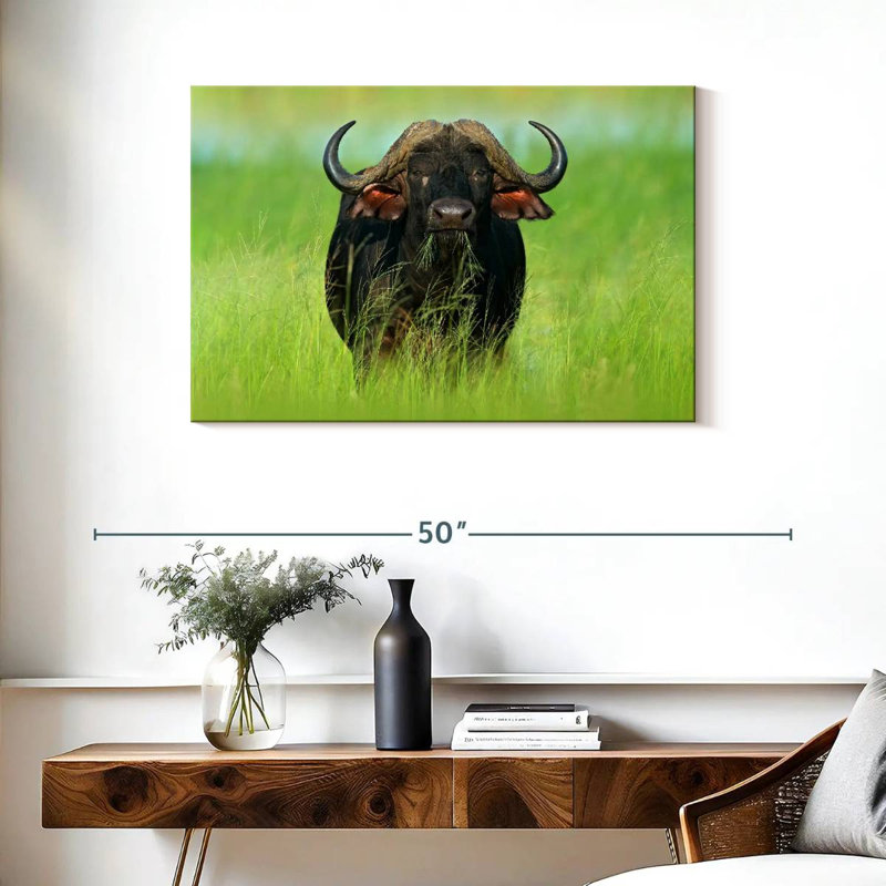 Manger du bison, H 24 po x l 36 po