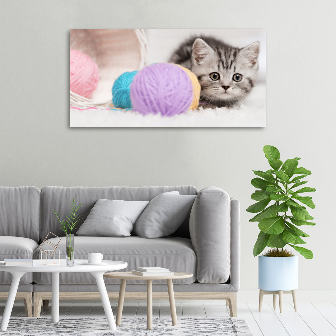 Katze mit Hanks - Kunstdrucke auf Leinwand - Wrapped Canvas