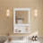 20'' Wall Mounted Mirror Cabinet