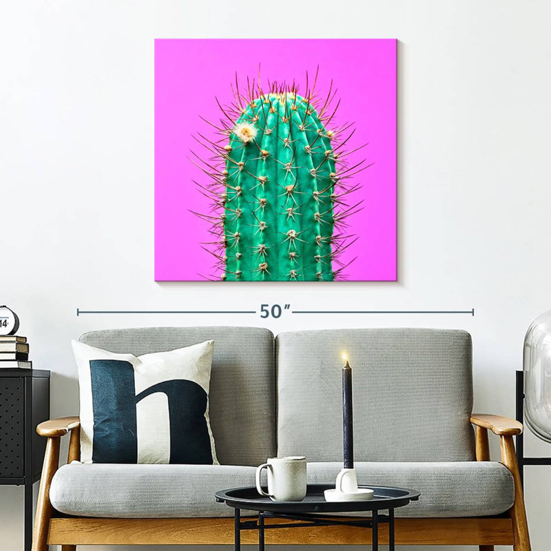 Cactus Harnek, H 30 po x l 30 po