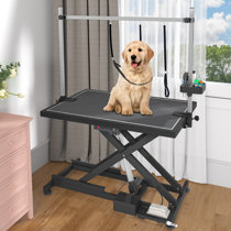 https://assets.wfcdn.com/im/05899489/resize-h210-w210%5Ecompr-r85/2554/255426183/Pet+Electric+Grooming+Table.jpg