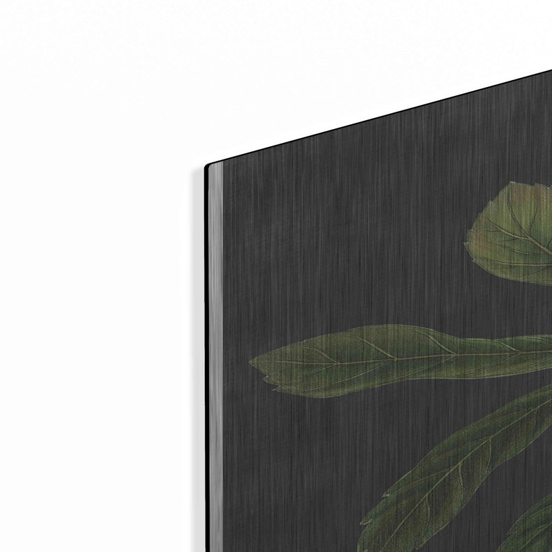 " Hellebore " by Lettered & Lined