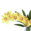 Arrangement d'orchidées dans un vase miroir-884489742
