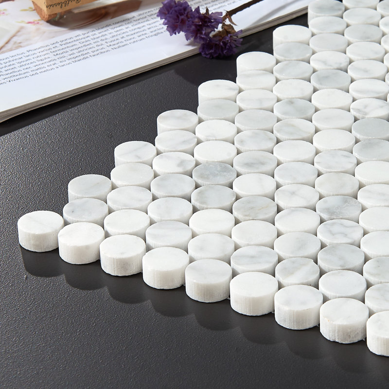 Carrara 0.75" x 0.75" Marble Penny Round Mosaic Wall & Floor Tile, White/Gray