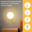 1-Light Gold Armed Sconce