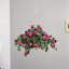Bougainvillea Hanging Basket Arrangement in Basket