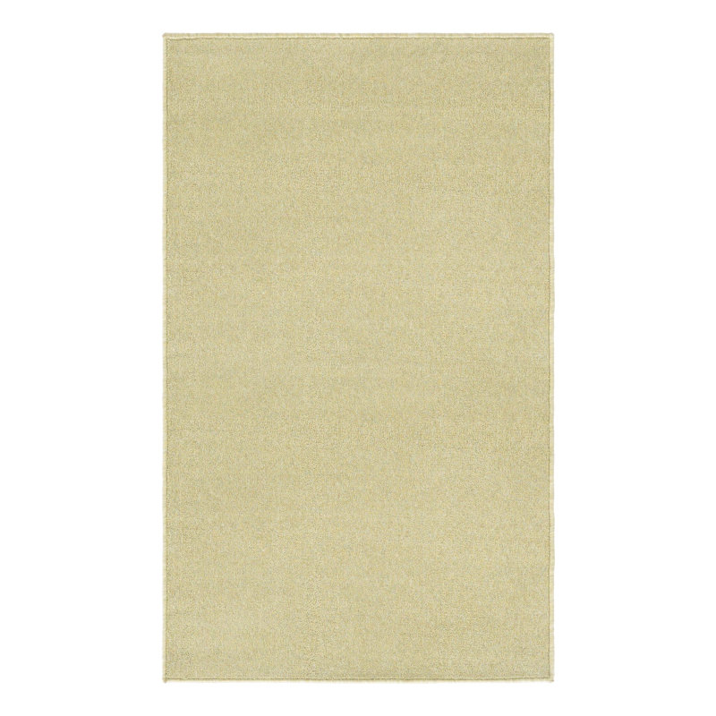  Performance Pastel Green Rug, Rectangle 3' x 5'3"