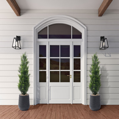 Indoor Outdoor 6' Cedar Topiary in Artemis Planter