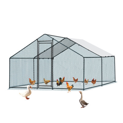 Emmeric Walk In Chicken Run