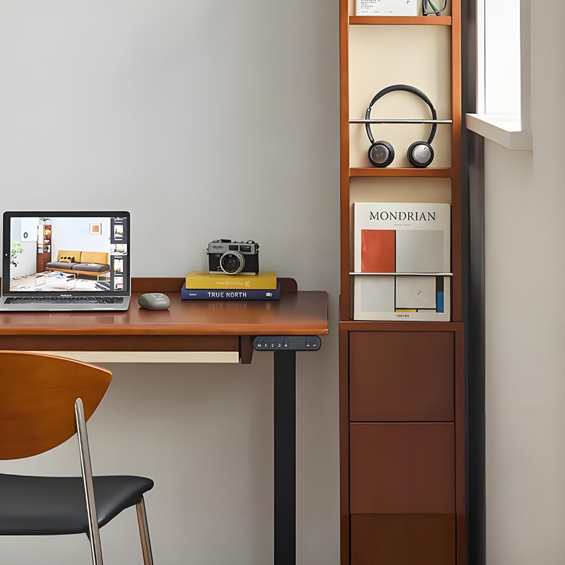 Classic Popularity Storage Bookcase