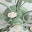 Glass Semi Flush Mount