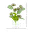 Globe Thistle Arranged in Glass Vase