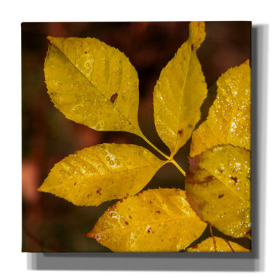 «Autumn 11» par Gordon Semmens, art mural sur toile