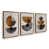 Polished Gold Floater Frame