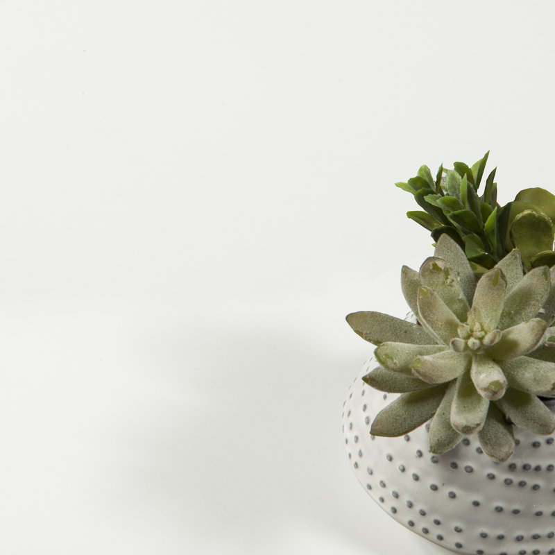 Clanton 6 Drawer 56.34" W Double Dresser, White