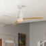 Ventilateur de plafond 52 po avec ensemble d'éclairage et télécommande inclus Karlena