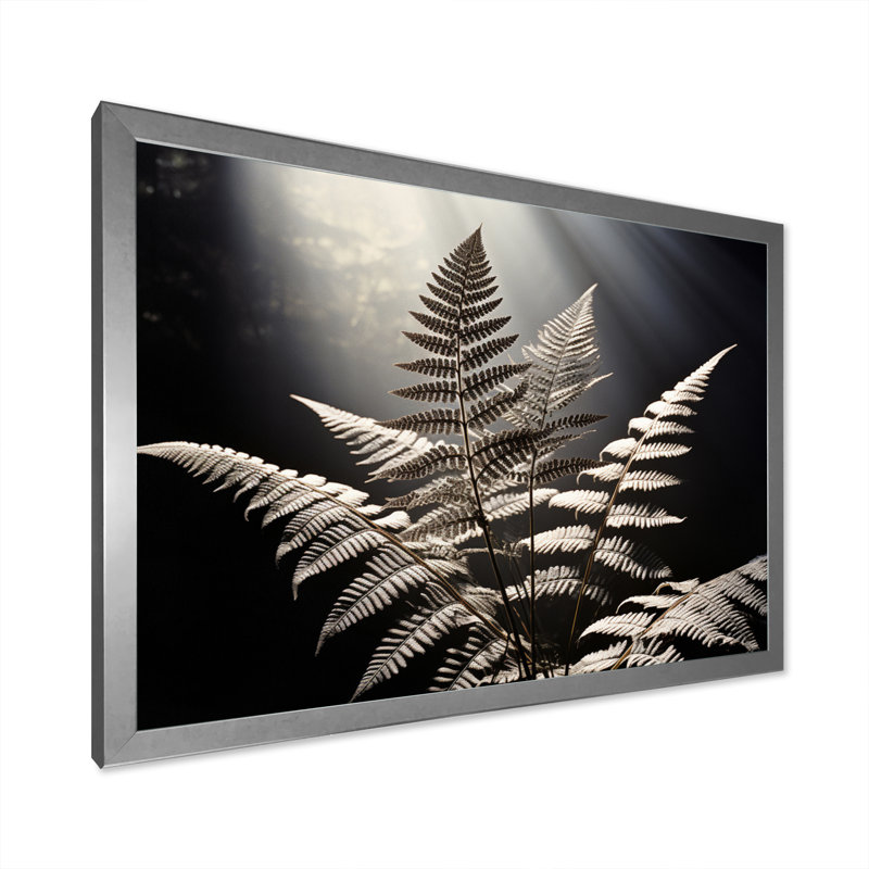 " Ferns Close Up Photo VIII ", Cadre simple argenté, H 30 po x l 40 po x P 1,5 po