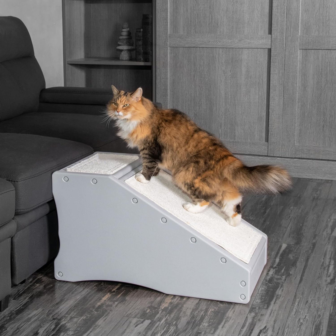 Pet Gear Stramp Stair and Ramp Combination for Dogs/Cats Pet Gear