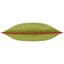 Meridian Square Scatter Cushion-683378371