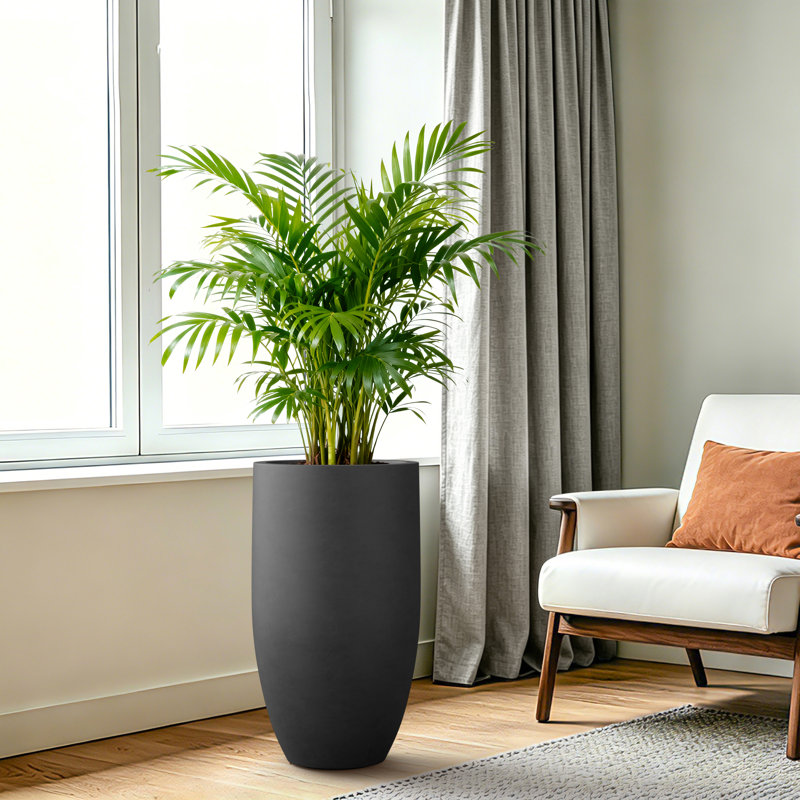 Pot à fleurs de 24 pouces de hauteur, design moderne pour l'intérieur et l'extérieur, gris anthracite foncé