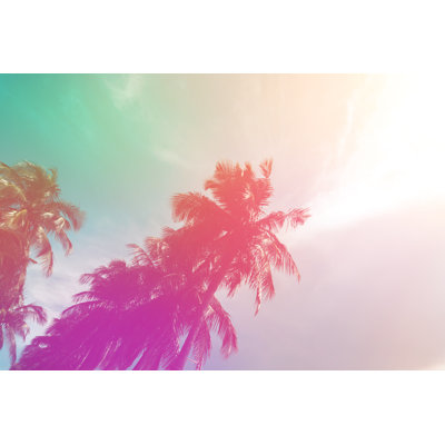 Creekmore Coconut Tree, Vintage - Wrapped Canvas Print