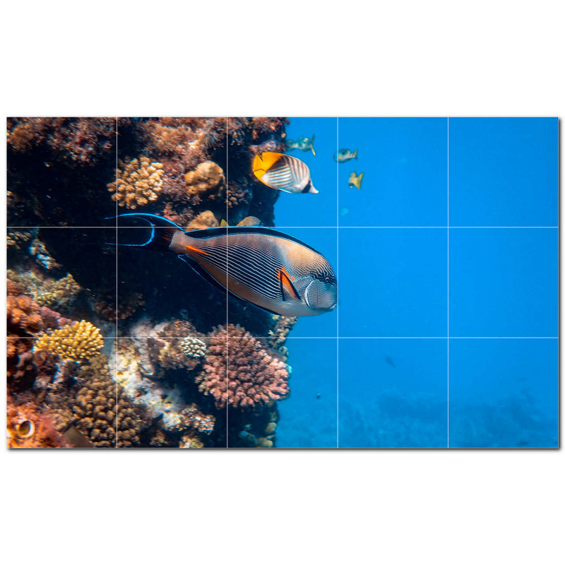 Corail photo 4,25 x 4,25