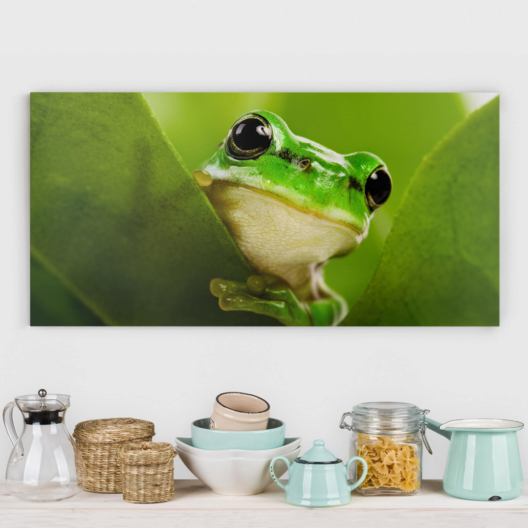 Leinwandbild Frog