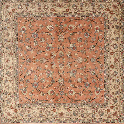 Catignani Oriental Indoor Rug