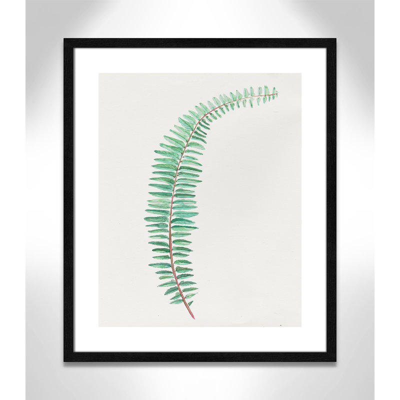 Delicate Botanical II '- Reproduction d'art sur papier encadrée, H 25,5 po x l 21,5 po x P 0,75 po