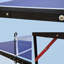 Table de ping-pong pliable et portable-113988953-126061499