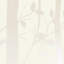 Laura Ashley Cottonwood Wallpaper Roll