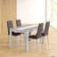 Alceste 4 - Person Dining Set-692815685-692815684
