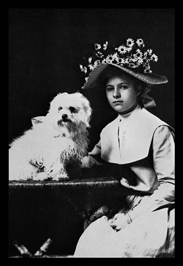 «Woman in Bonnet with Maltese Terrier», reproduction de photo, 24" H x 36" W x 1.5" D