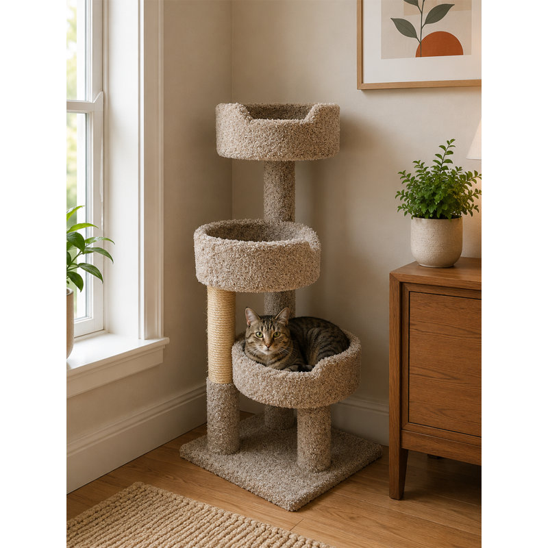 Arbre à chat en bois massif de 52 po New Cat Condos, Brun
