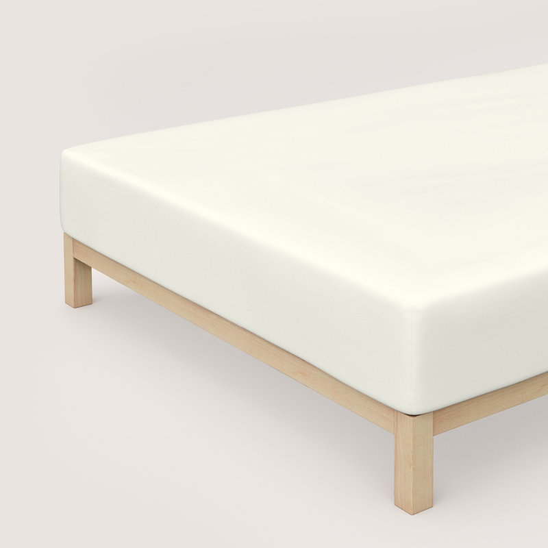 Jersey-Elasthan Cotton Blend Jersey Knit Fitted Sheet, Wool white, 180 - 200cm x 200 - 220cm