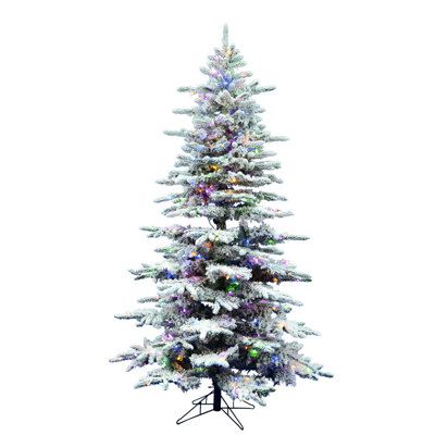 6' H Lighted Artificial Fir Christmas Tree