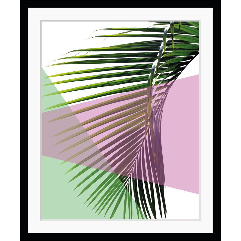 Ferns - Single Picture Frame Print, 60 cm H x 50 cm W