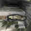 Photos des clients 1 de 1