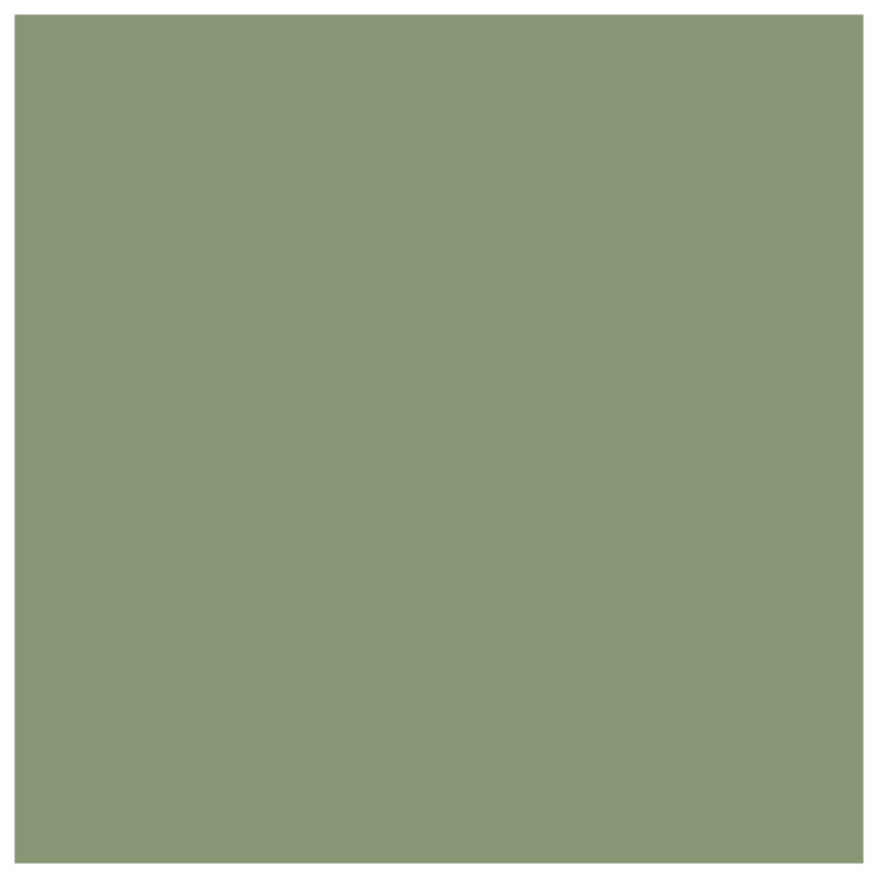 Solid Light Green Shade Double Sided Throw Pillows, 14 x 14 inches